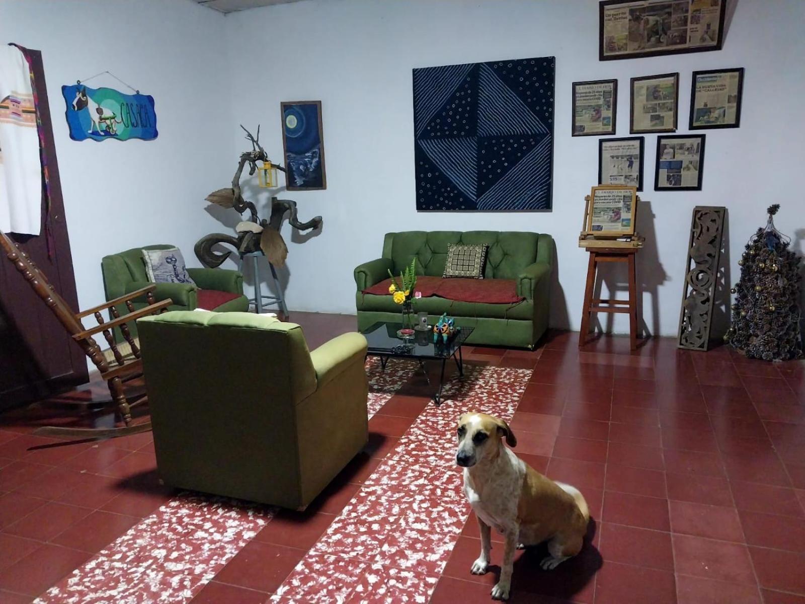 Concepción de Ataco Casaca 아파트 외부 사진
